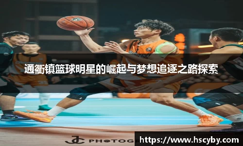 乐竟体育
